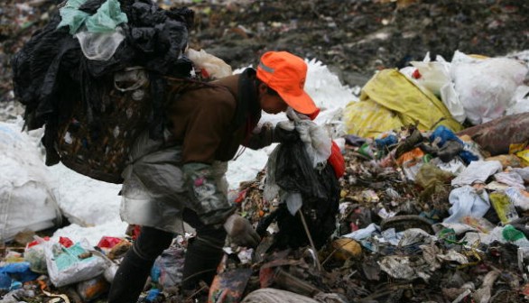 Plastic Bags - The Environmental Scourge