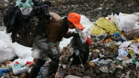 Plastic Bags - The Environmental Scourge
