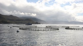 Net pen aquaculture in deep coastal waters. 