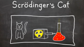 Scrodinger's Cat