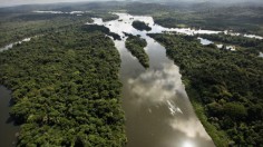 Amazon rainforest