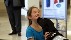 Girl Playing With Dog