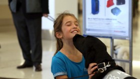 Girl Playing With Dog