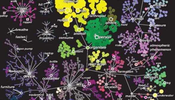 Scientists construct first map of how the brain organizes everything we see