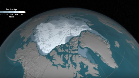 Older Arctic Sea Ice Disappearing