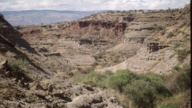 The researchers examined lake sediments from Olduvai Gorge in northern Tanzania, looking for biomarkers -- fossil molecules -- from ancient trees and grasses.