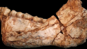 The oldest Homo sapiens fossils at Jebel Irhoud, Morocco