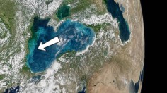 Black Sea bloom