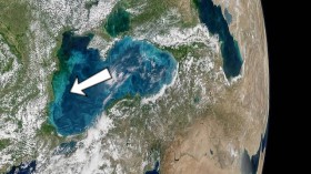 Black Sea bloom