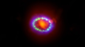 Supernova 1987A