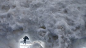 A person walks past a snow covered bus shelter in downtown Chicago, Illinois January 6, 2014. 