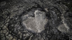 Dinosaur Footprint