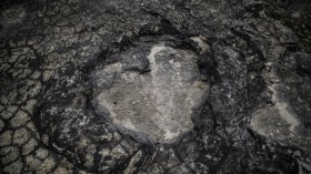 Dinosaur Footprint