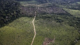 Amazon deforestation