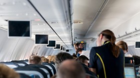 Flight Attendants