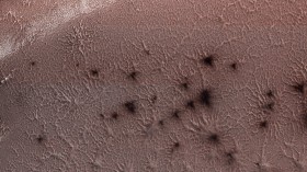 Spiders On Mars