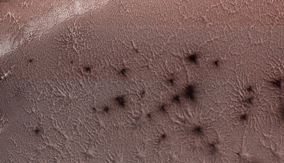 Spiders On Mars