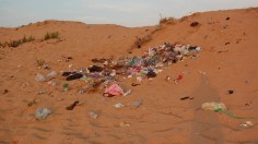 New Study Reveals Common Plastic Emits Greenhouse Gases Upon Degrading