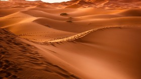 Sahara Desert