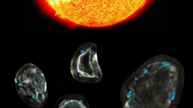 The surfaces of tiny interplanetary dust particles are space-weathered by the solar wind, causing amorphous rims to form on their surfaces. Hydrogen ions in the solar wind react with oxygen in the rim