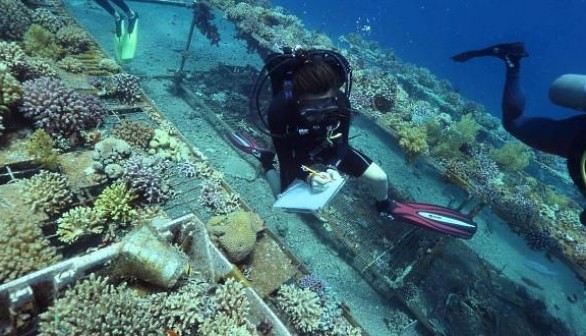 Jessica Bellworthy monitoring coral health on the reef.