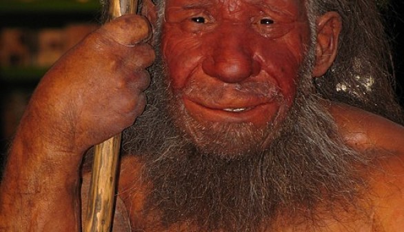 Reconstruction of Neandertaler at Neanderthal Museum