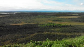 The Landscape Neumann and Team Studied in Alaska (IMAGE)