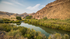 Owyhee River Canyon 