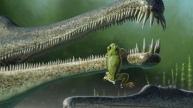 A concept rendering of a Chinle frog, inside the jaw of a phitosaur.