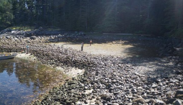 Northwest Coast Clam Gardens Nearly 2,000 Years Older than Previously Thought (IMAGE)