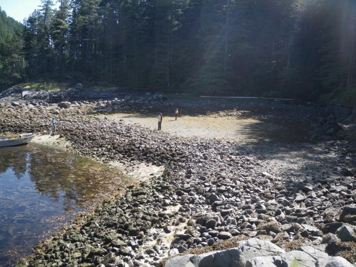 Northwest Coast Clam Gardens Nearly 2,000 Years Older than Previously Thought (IMAGE)
