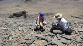 Fieldwork in Namibia (IMAGE)