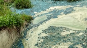 Lake Greening Threatens Water Supplies And Accelerates Climate Change (IMAGE)
