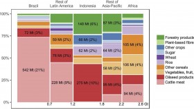 Emissions Sources For Deforestation-Related Carbon Dioxide Emissions (IMAGE)