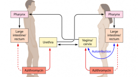 Sexually transmitted diseases and such