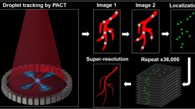 Super-Resolved Vascular Imaging in vivo (IMAGE)