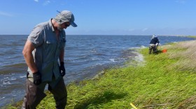 Soil Sampling (IMAGE)