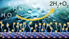 Functionalization of Hexagonal Boron Nitride (IMAGE)