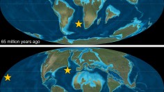 Planetary Changes from 65 to 50 Mya Responsible for Changes to Ocean Oxygen Levels (IMAGE)