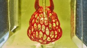 Bioprinted Lung-Mimicking Air Sac (IMAGE)