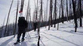 Forest Fires Accelerating Snowmelt across Western US, Study Finds (1 of 2) (IMAGE)