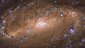 Hubble Image of NGC 2903 (IMAGE)