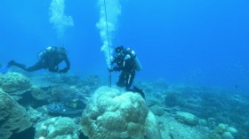 Drilling Coral Cores (IMAGE)