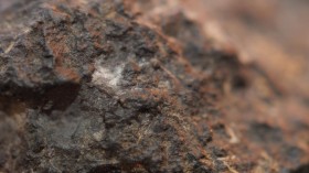 Chondrite Meteorite Macro Photo (IMAGE)