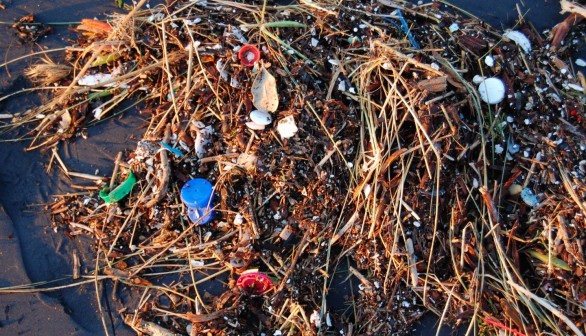 Plastic Pollution (IMAGE)