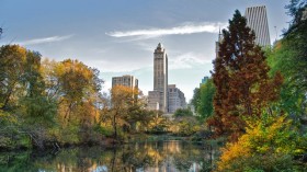 New York City's Central Park