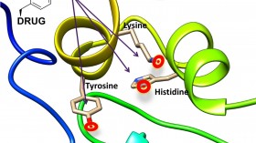 Targeting Cancer Cells (IMAGE)