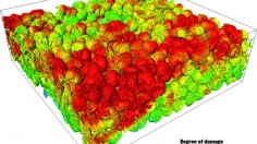 Heterogeneous Degradation (IMAGE)