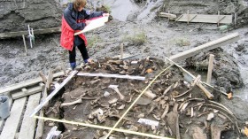 The Archaeological Site near the Yana River (IMAGE)