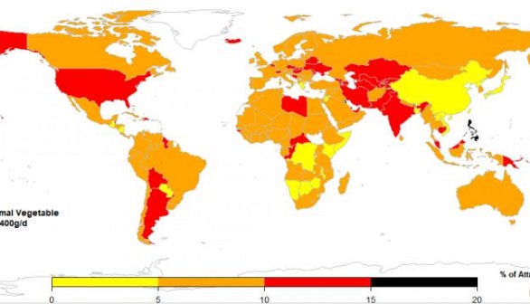 Vegetable Map (IMAGE)